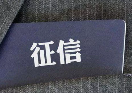 樸道征信：累計(jì)線上調(diào)用逾45億次，日調(diào)用峰值達(dá)3500萬次